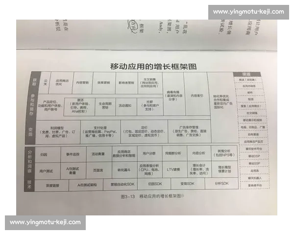 转移迅速的关键策略与方法全方位解析与应用指导