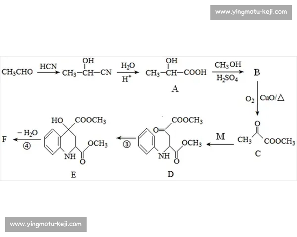 基于人工智能与生物力学融合的现代体育训练技术创新路径研究 基于人工智能与生物力学融合的现代体育训练技术创新路径研究
